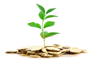 investment