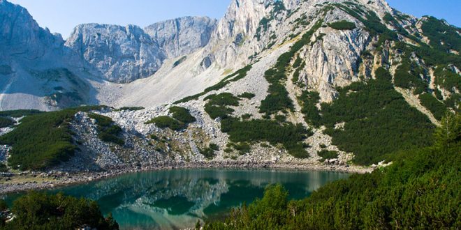 икономическата стойност